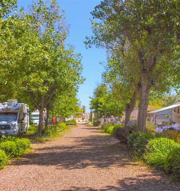 Campingplaats aan zee - Verhuur kampeerplaatsen voor tent, caravan en camper - 3-sterren camping Beauregard Plage, in Marseillan Plage in de Hérault in Languedoc Roussillon